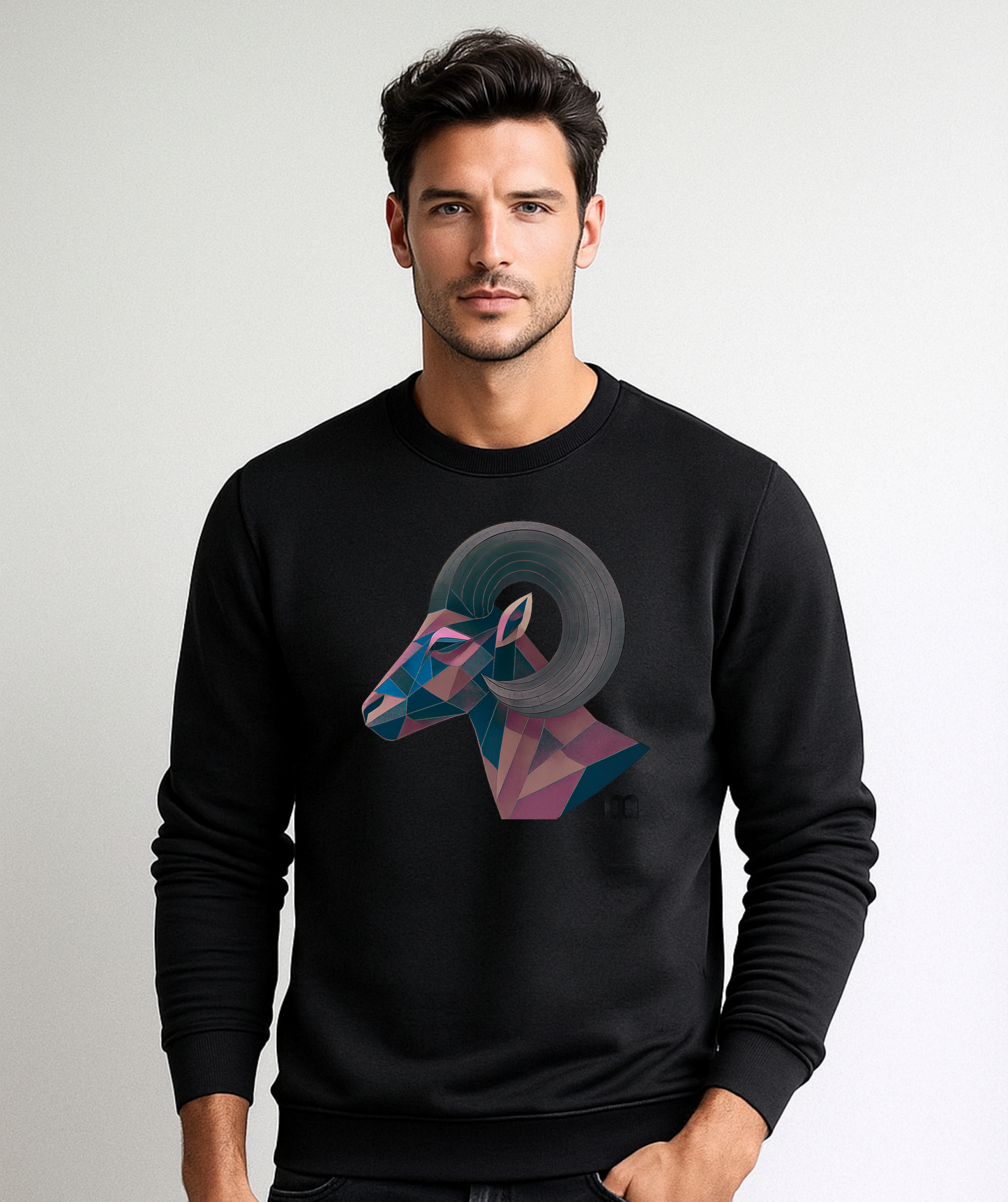 Sweat-shirt Léger homme margouilla" L’Âme des Sommets"