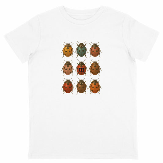 t-shirt margouilla enfant coccinelles  - face_blanc